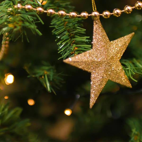 julstjärna hänger på en julgran på ny gemenskaps jul i gemenskap
